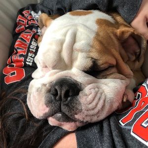 Meet your Posher, Brian